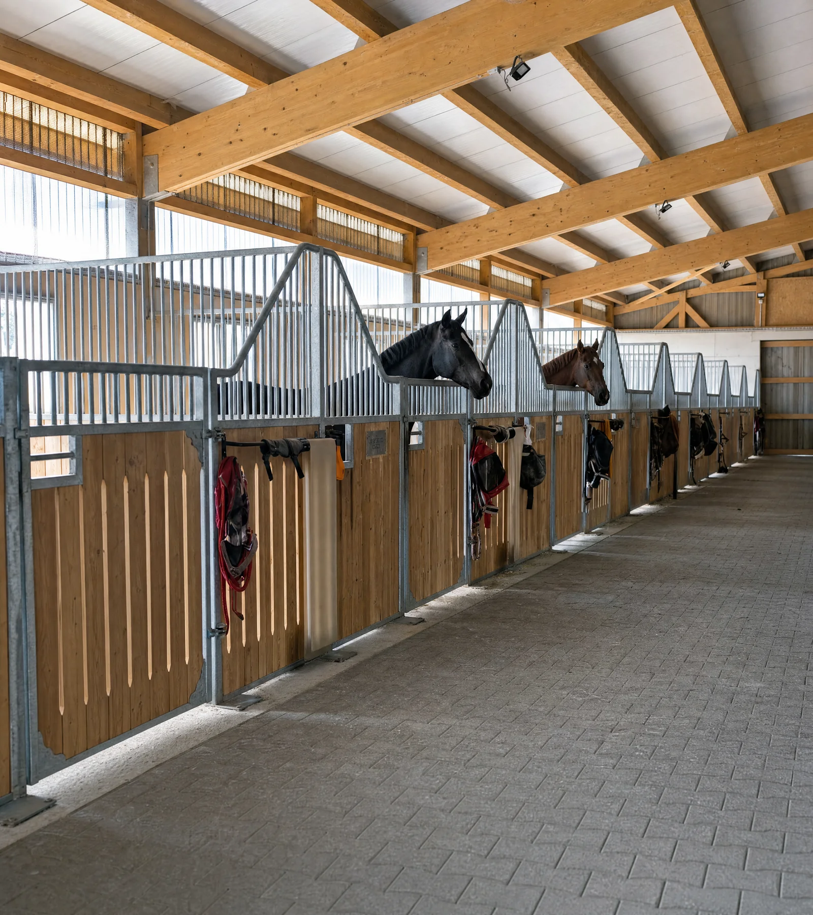 Pferdeboxen im Stall