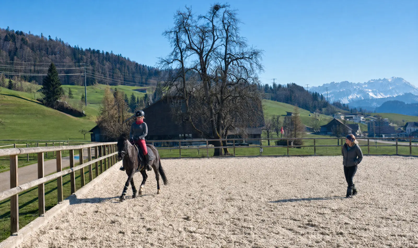 Livia unterrichtet eine Reiterin auf dem Reitplatz